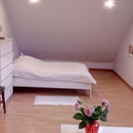 Przyjazny Domek Tarnowskie Gory Luaran gambar